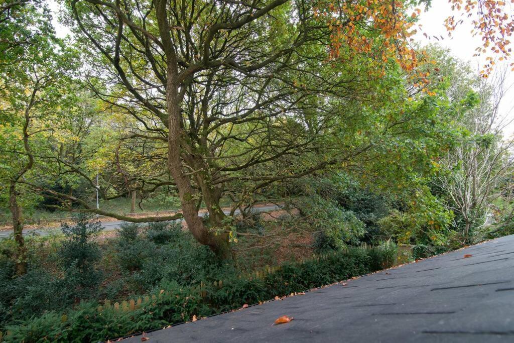 Luxury Coach House Next To Woodland In Knutsford 빌라 외부 사진